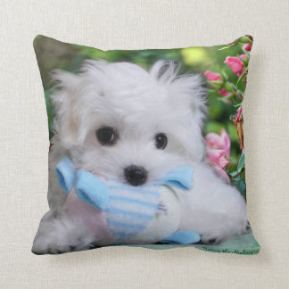 Hermes the Maltese Pillow/Cushion Kussen