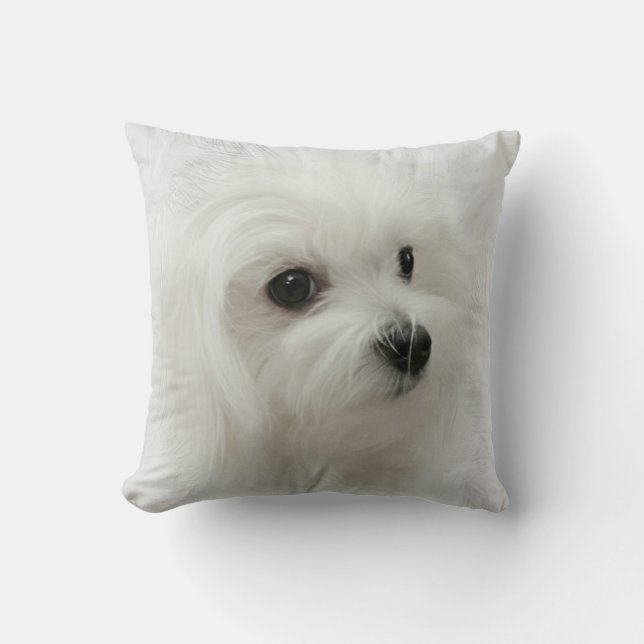 Hermes the Maltese Pillow Cushion Kussen (Voorkant)