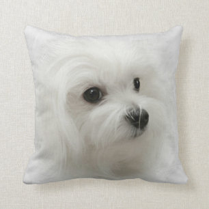Hermes the Maltese Pillow Cushion Kussen