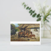 Hermine Biedermann-paarden in de Stab Briefkaart (Staand voorkant)