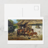 Hermine Biedermann-paarden in de Stab Briefkaart (Voorkant / Achterkant)