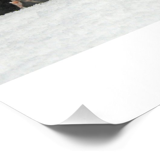 Hermine Blanche Perfect Poster (Hoek)