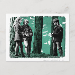 Hermione, Ron en Harry 1 Briefkaart