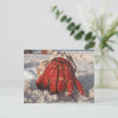 Hermit Crab Briefkaart (Staand voorkant)