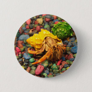 Hermit Crab Button 01