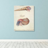 Hermit Crab Canvas Afdruk (Insitu (Houten vloer))