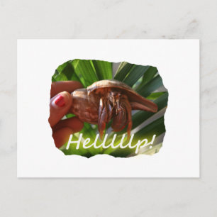 Hermit Crab en Help-tekst, grappig dierlijk ontwer Briefkaart