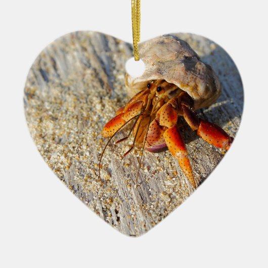 Hermit Crab Keramisch Ornament (Voorkant)