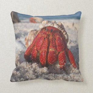 Hermit Crab op het strand Kussen