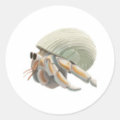 Hermit Crab Sticker (Voorkant)