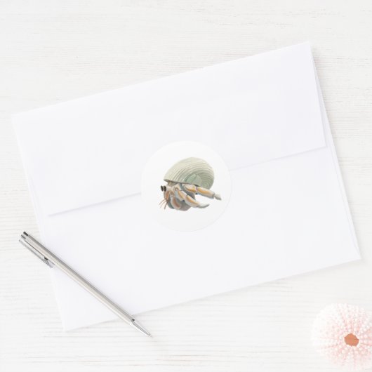 Hermit Crab Sticker (Envelop)