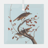 Hermit Thrush Audubon Bird met Red Berries Glas Ornament (Voorkant)