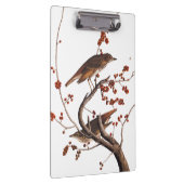 Hermit Thrush Audubon Bird met Red Berries Klembord (Rechts)