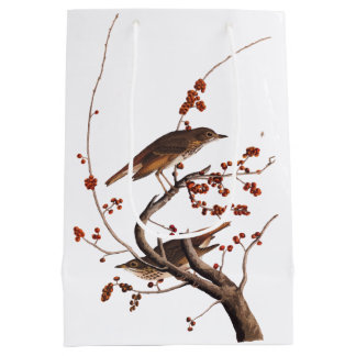 Hermit Thrush Audubon Bird met Red Berries Medium Cadeauzakje