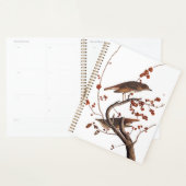 Hermit Thrush Audubon Bird met Red Berries Planner (Display)