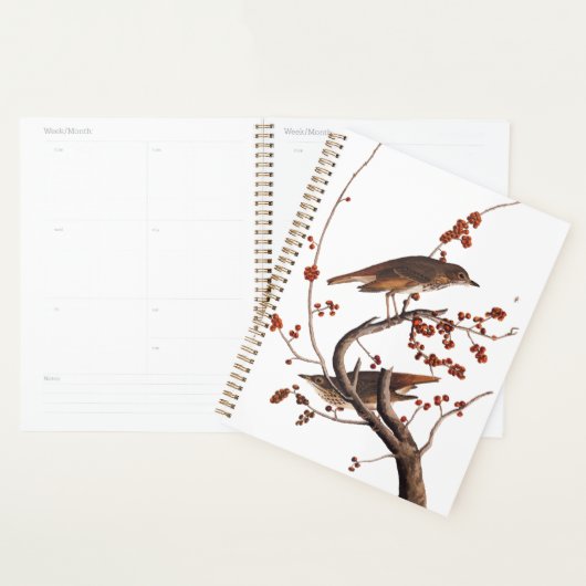 Hermit Thrush Audubon Bird met Red Berries Planner (Display)