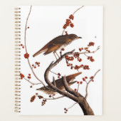 Hermit Thrush Audubon Bird met Red Berries Planner (Voorkant)