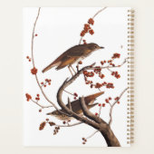 Hermit Thrush Audubon Bird met Red Berries Planner (Achterkant)