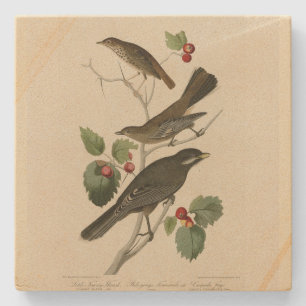 Hermit Thrush, Grey Jay Audubon's Birds of America Stenen Onderzetter