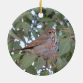 Hermit Thrush Keramisch Ornament (Achterkant)