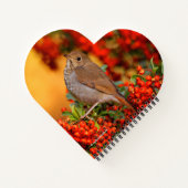 Hermit Thrush Songbird op de Scarlet Firethorn Notitieboek (Achterkant)