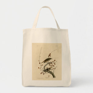 Hermit Thrush van de Amerikaanse vogels uit Audubo Tote Bag