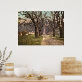 Hermitage plantage Savannah Georgia Poster (Keuken)