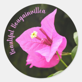 Hermosa Bugambilia Ronde Sticker