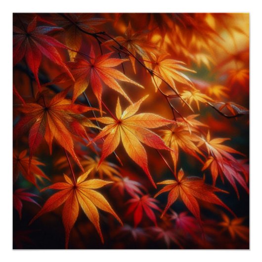 Hern Perfect Poster (Voorkant)