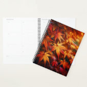 Hern Planner (Display)