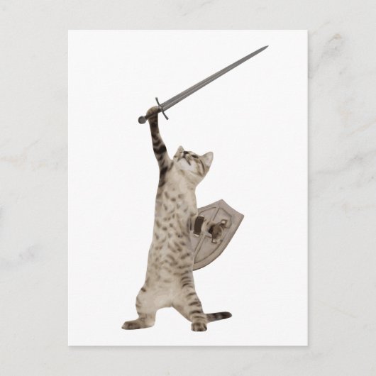 Heroic Warrior Knight Cat Briefkaart (Voorkant)