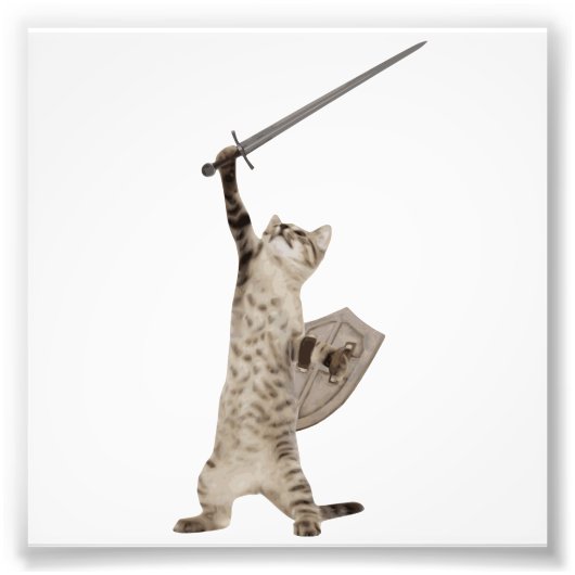 Heroic Warrior Knight Cat Foto Afdruk (Voorkant)