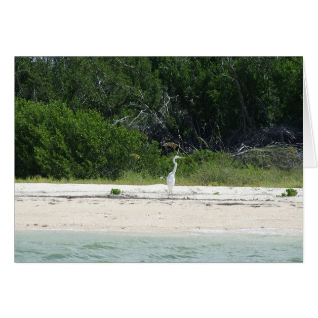 Heron (Devant Horizontal)