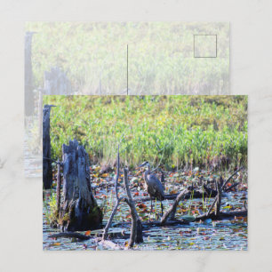 Heron 6467 briefkaart