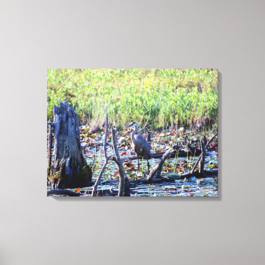 Heron 6467 canvas afdruk (Voorkant)