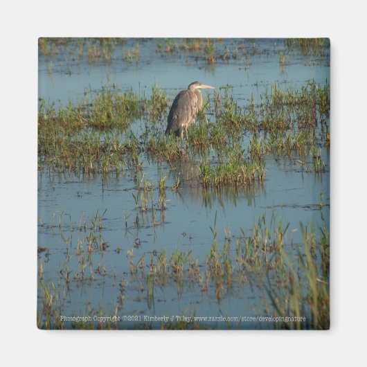 Heron 6937 magneet (Voorkant)