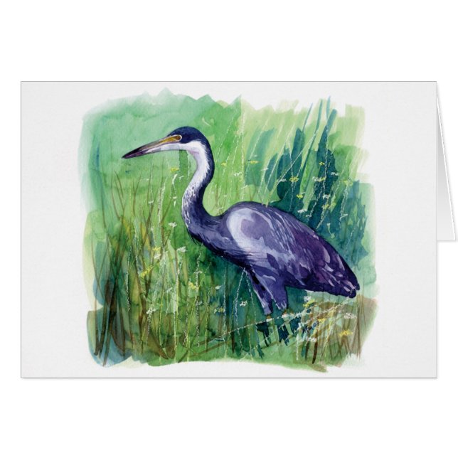 héron à tête noire (Devant horizontal)