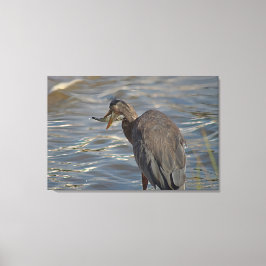 Heron Beach Vogels Wildlife Dieren Kustfoto's Canvas Afdruk