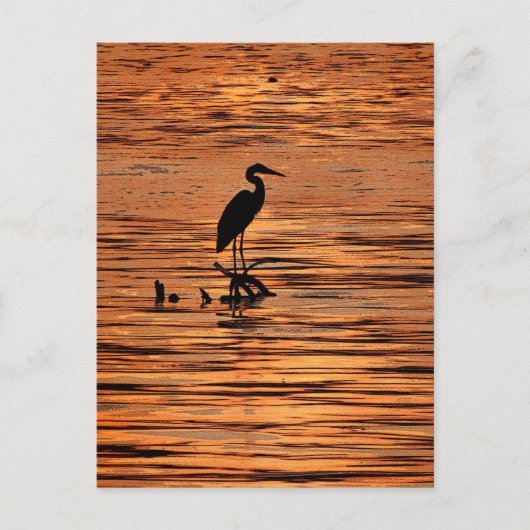 Heron bij Sunset Briefkaart (Voorkant)