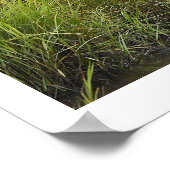 Heron dans le Marsh Poster (Coin)