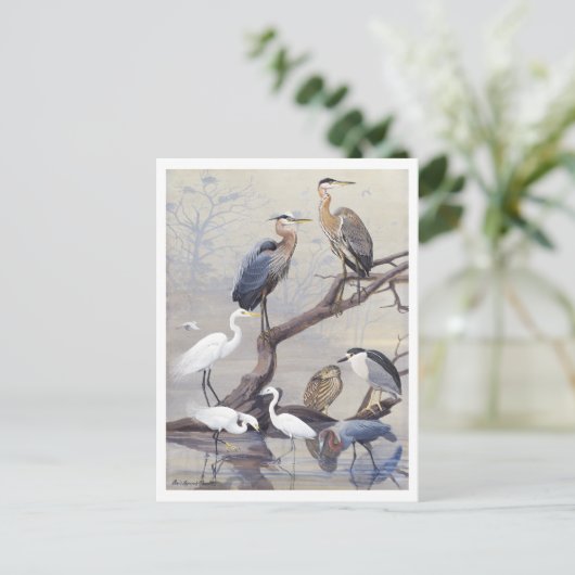 Heron en Egret  Briefkaart (Staand voorkant)