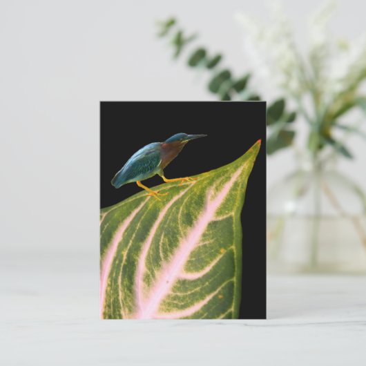 Heron en Leaf Print, Waarde Poster Papier (Matte) Feestdagenkaart (Staand voorkant)