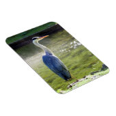 Heron gris Flexible Photo Magnet #3 (Côté Droit)