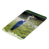 Heron gris Flexible Photo Magnet #3 (Côté Gauche)