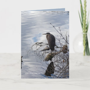 Heron in de spiegel kaart