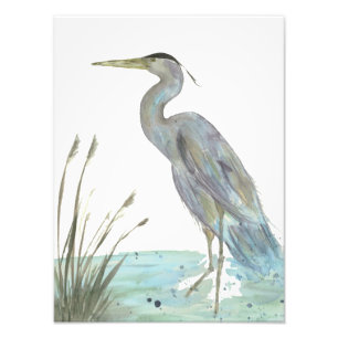 Heron in de Waterverf van het moeras Foto Afdruk
