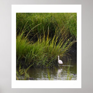 Heron in het Marsh Poster
