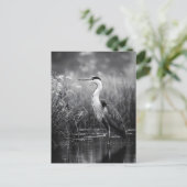 Heron in het moeras zwart-wit briefkaart (Staand voorkant)