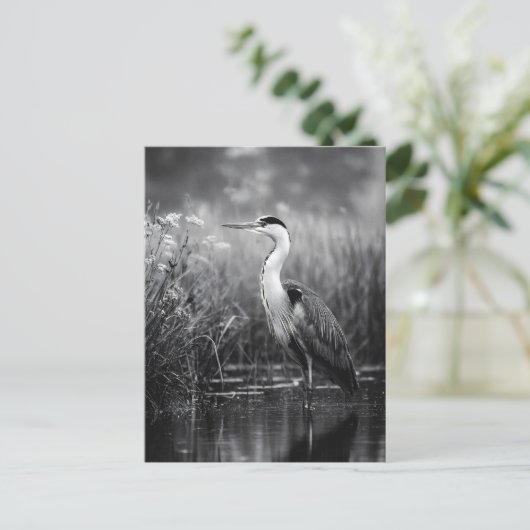 Heron in het moeras zwart-wit briefkaart (Staand voorkant)