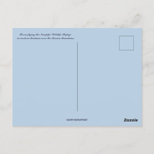 Heron in het Ninepipe Wildlife Refuge in Montana Briefkaart (Achterkant)